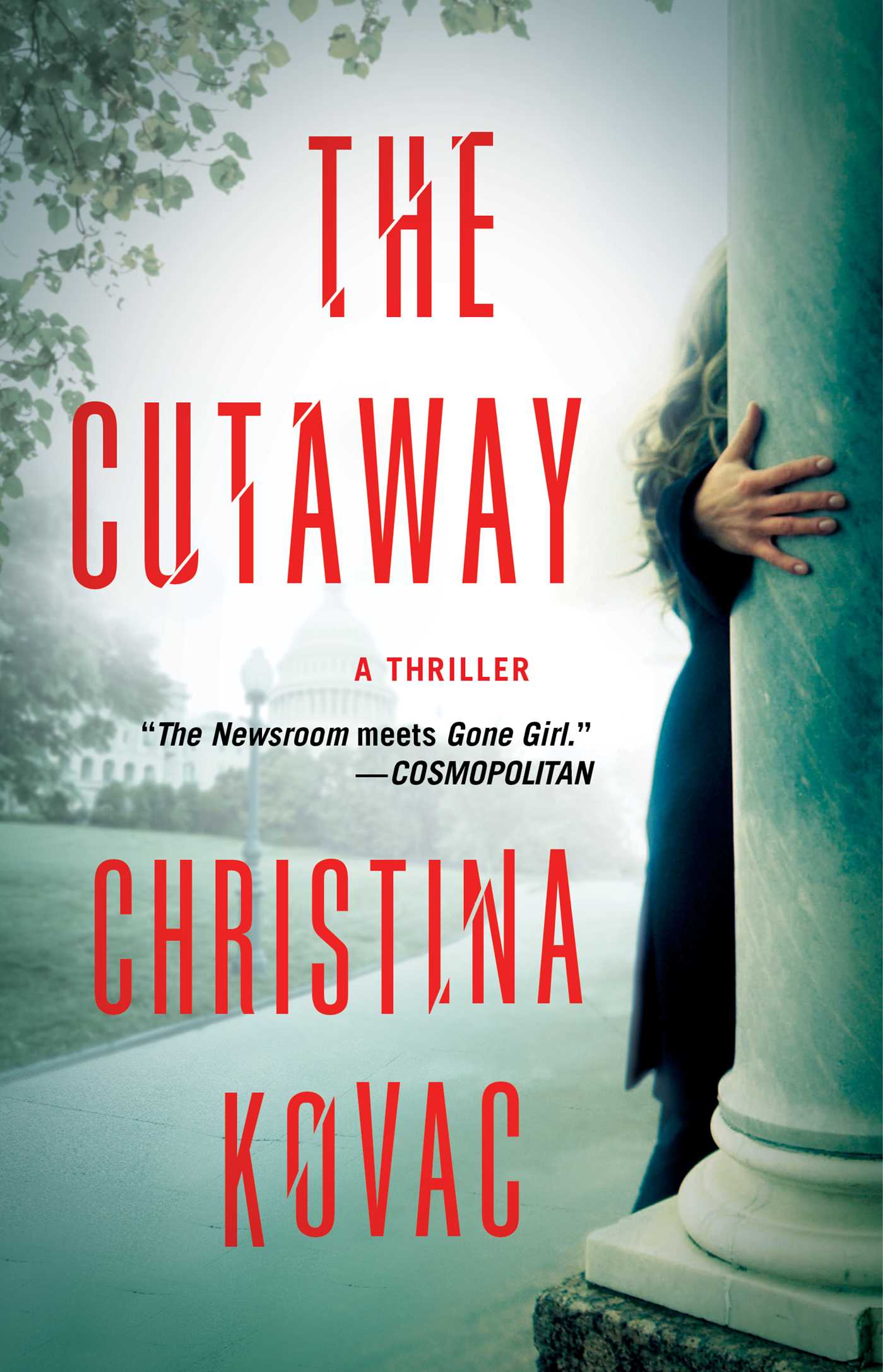 Book “The Cutaway” by Christina Kovac — January 9, 2018