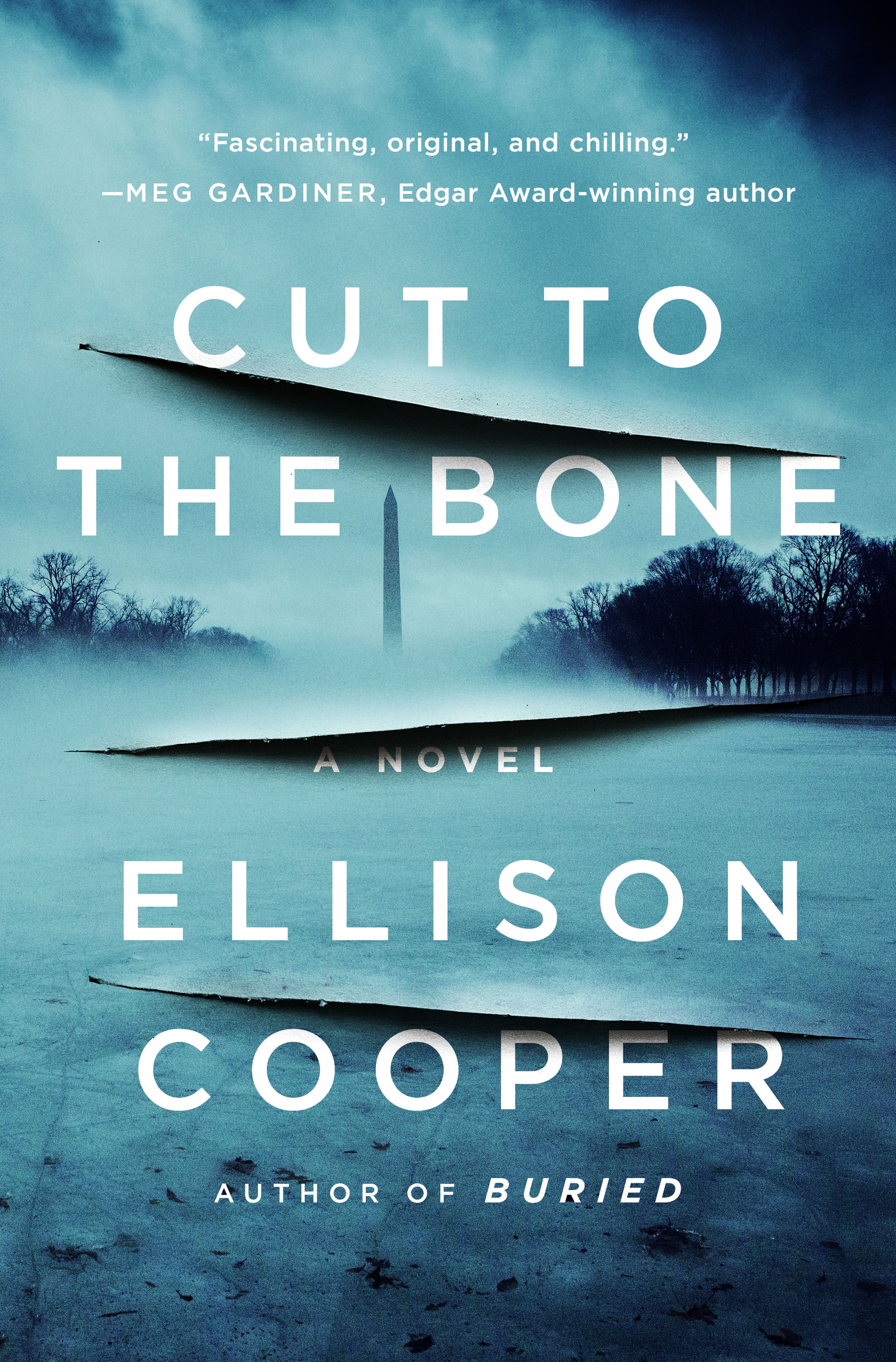 Book “Cut to the Bone” by Ellison Cooper — July 14, 2020