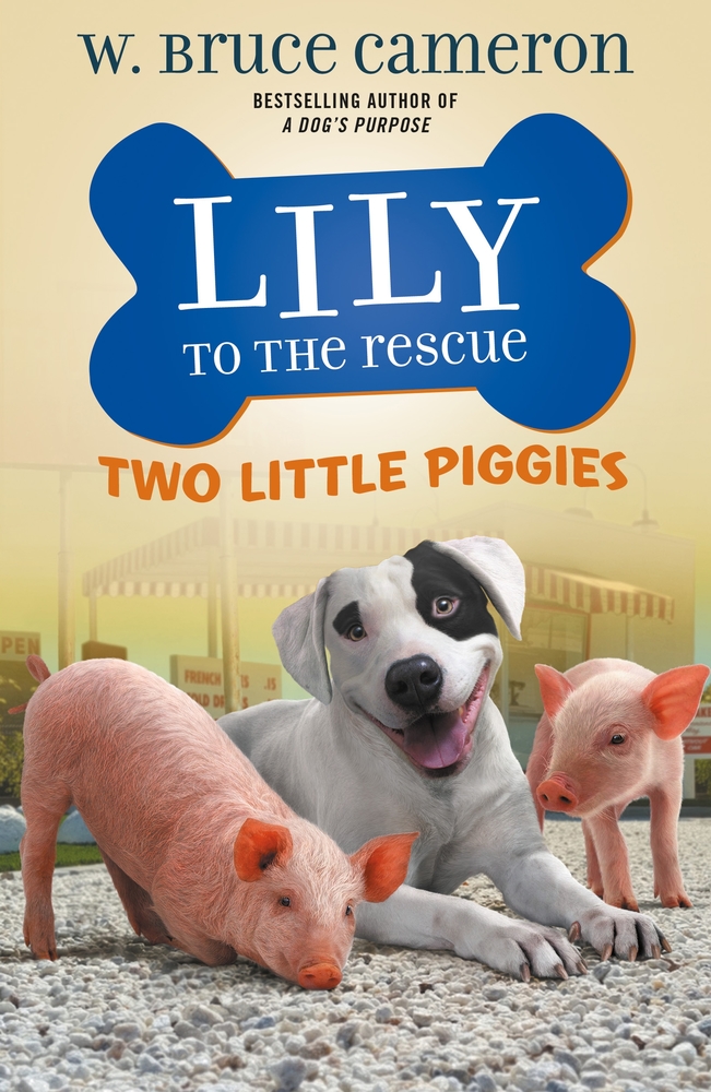 Lily to the Rescue by W. Bruce Cameron