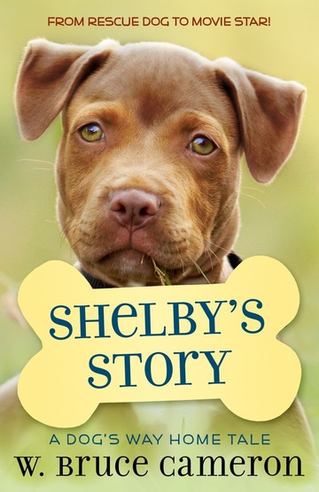 Shelby's Story: A Dog's Way Home Tale