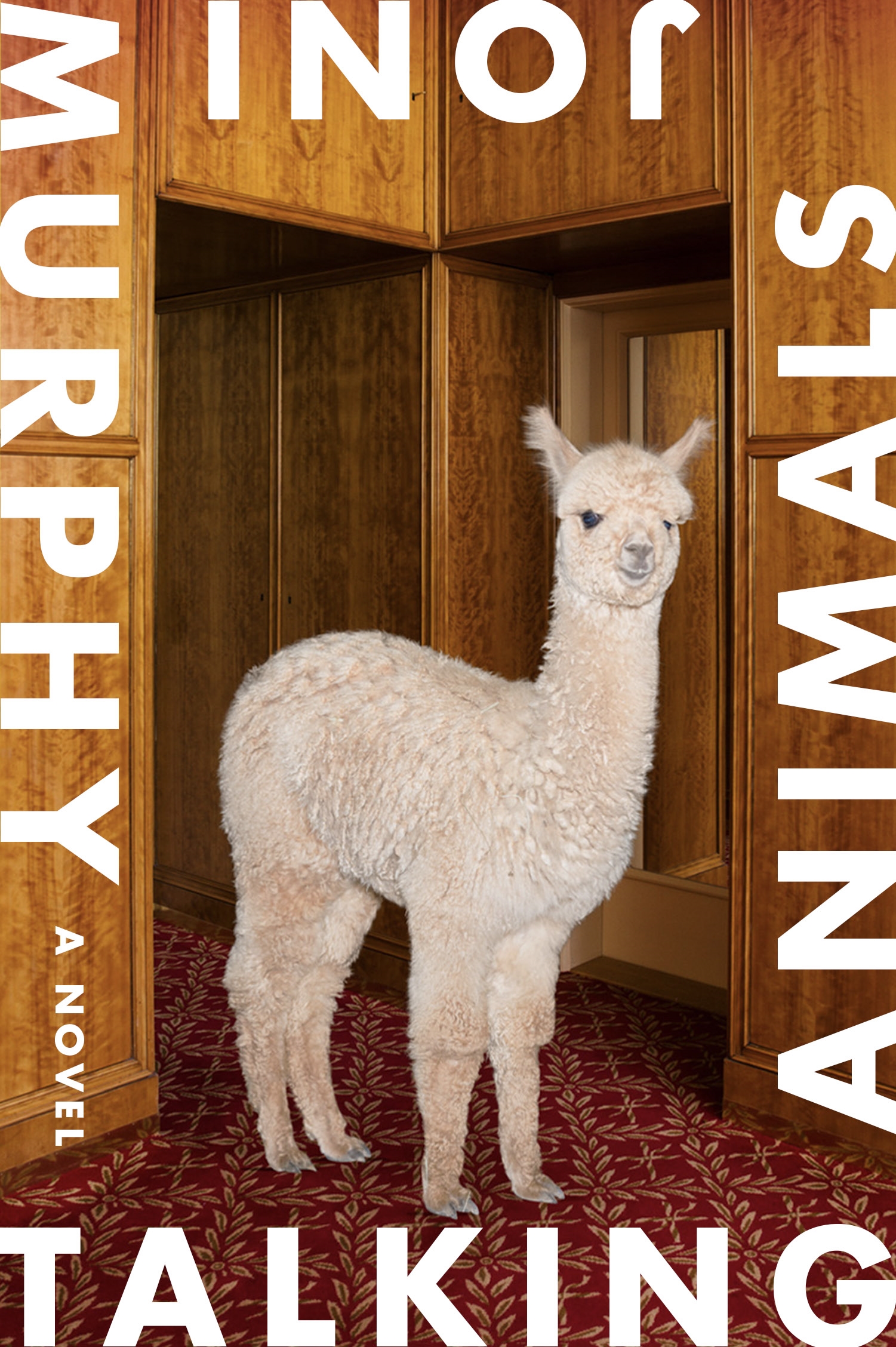 Book “Talking Animals” by Joni Murphy — August 4, 2020