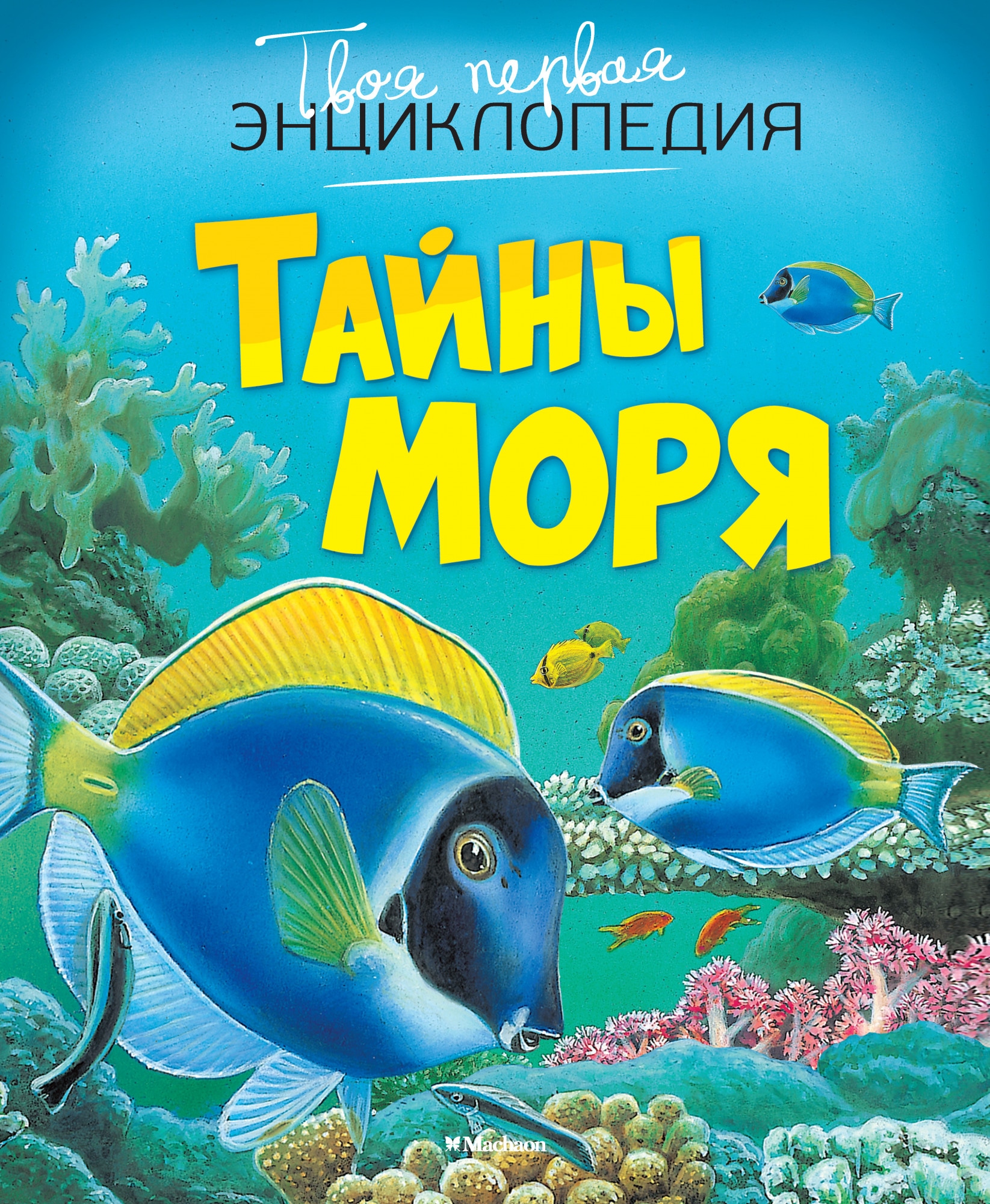 Моря справочник