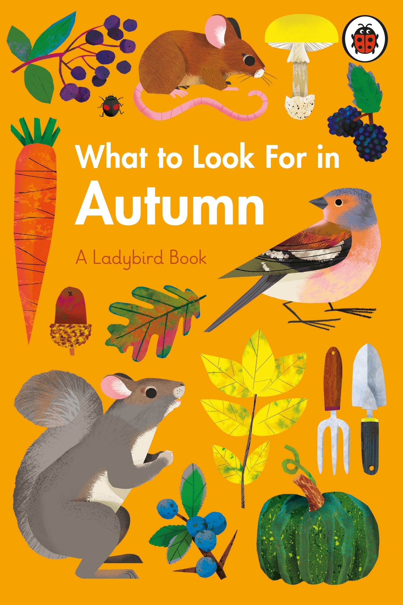 Book “What to Look For in Autumn” by Elizabeth Jenner, Natasha Durley — January 21, 2021