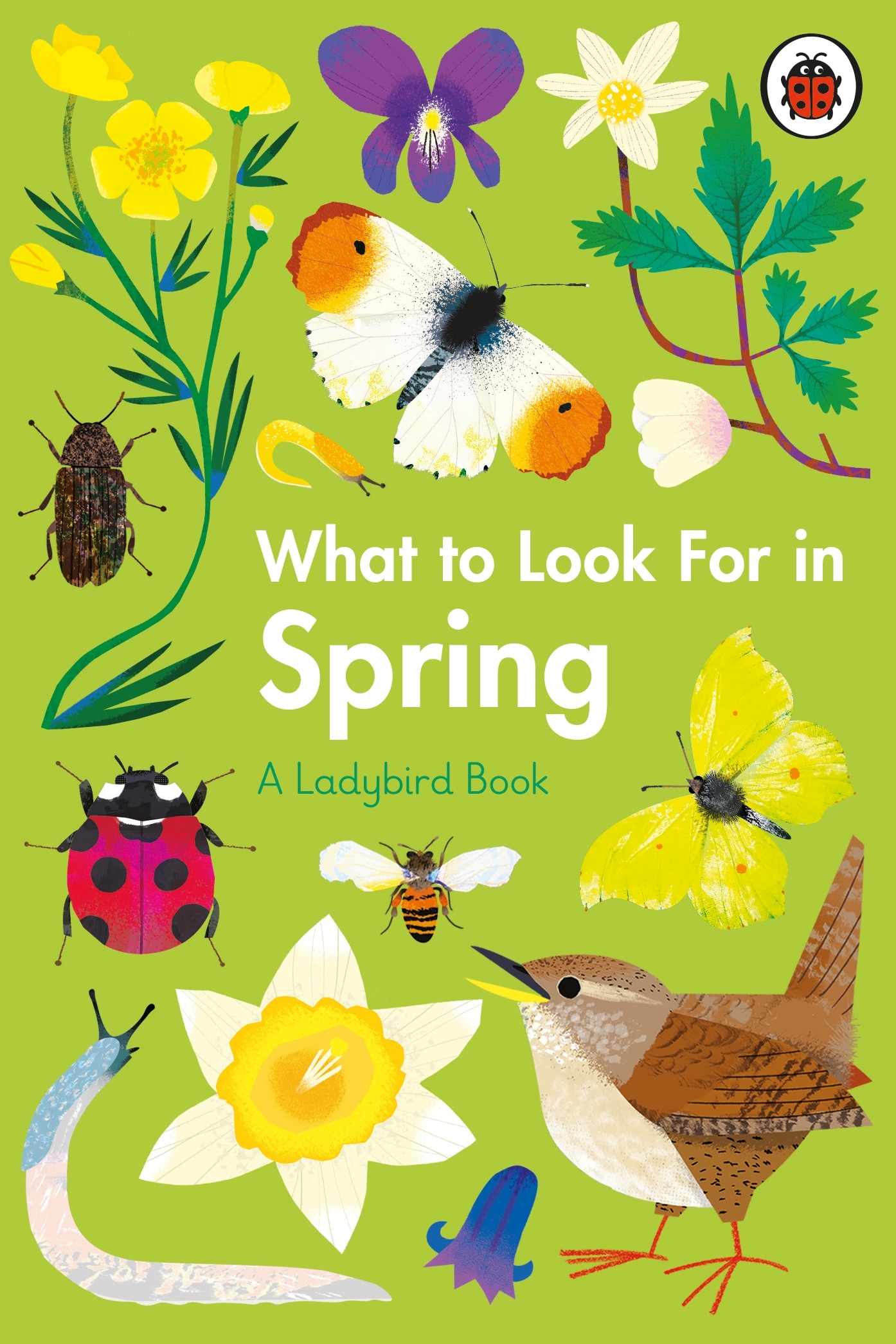 Book “What to Look For in Spring” by Elizabeth Jenner, Natasha Durley — January 21, 2021