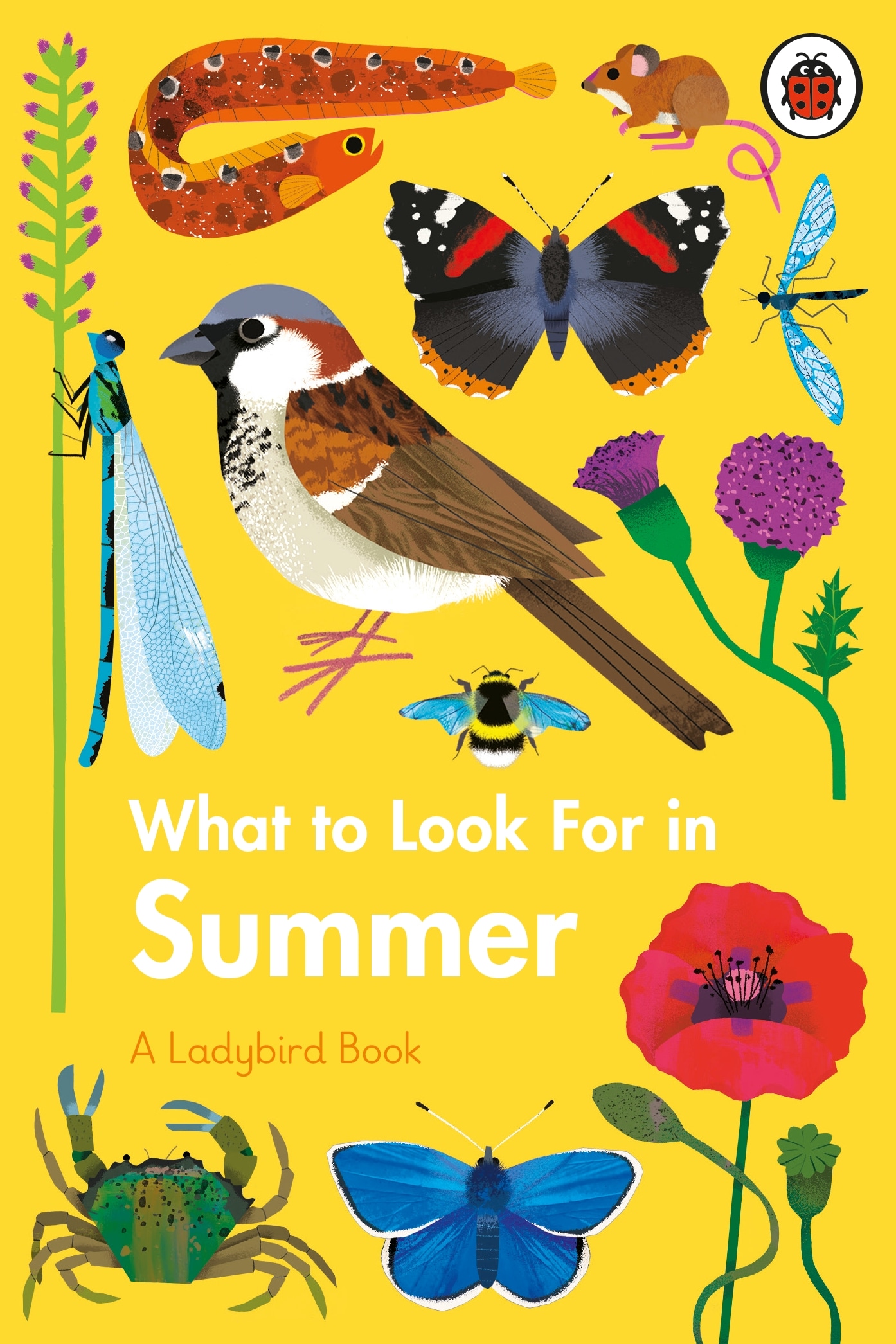 Book “What to Look For in Summer” by Elizabeth Jenner, Natasha Durley — January 21, 2021