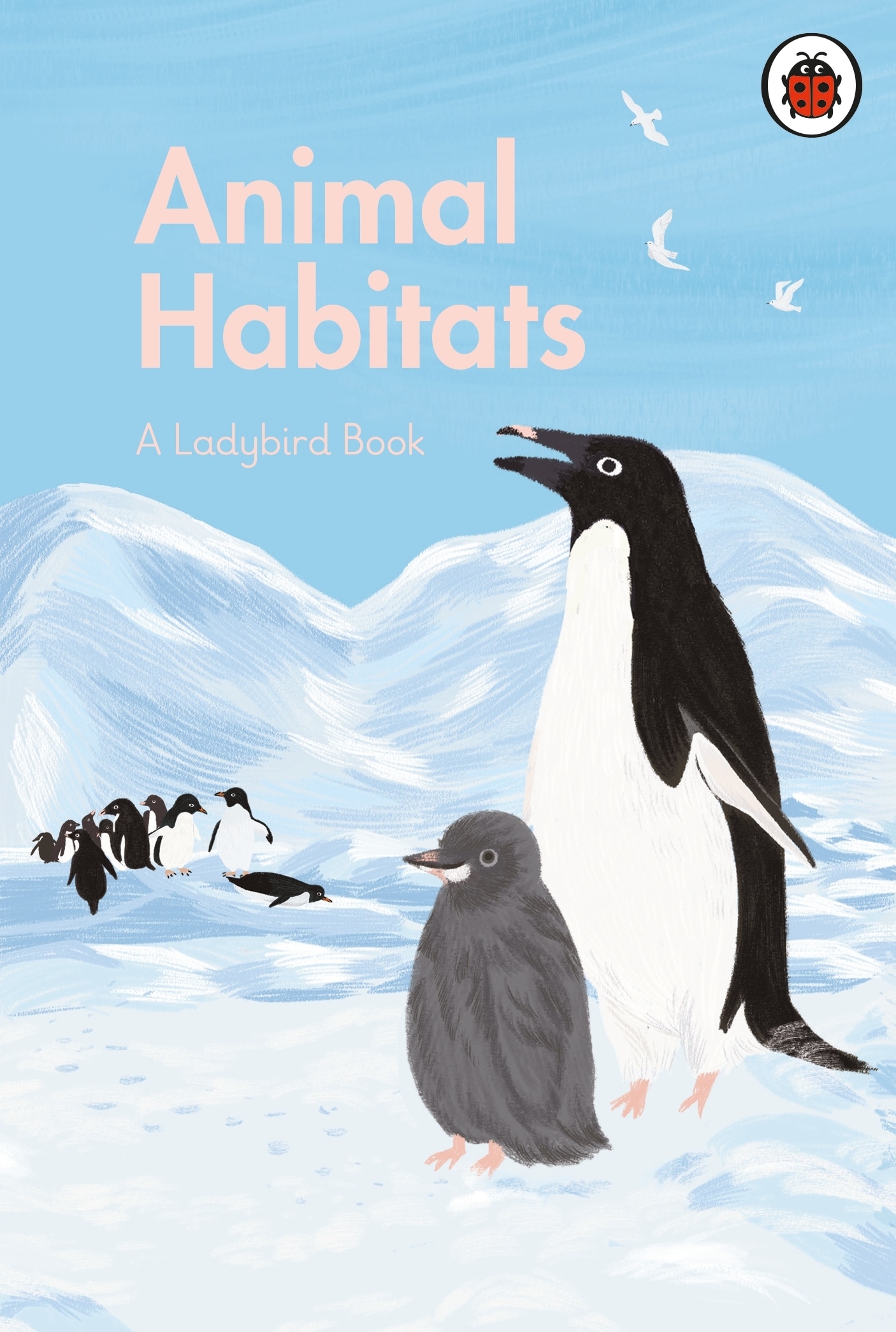 Book “A Ladybird Book: Animal Habitats” by Ayang Cempaka — May 6, 2021