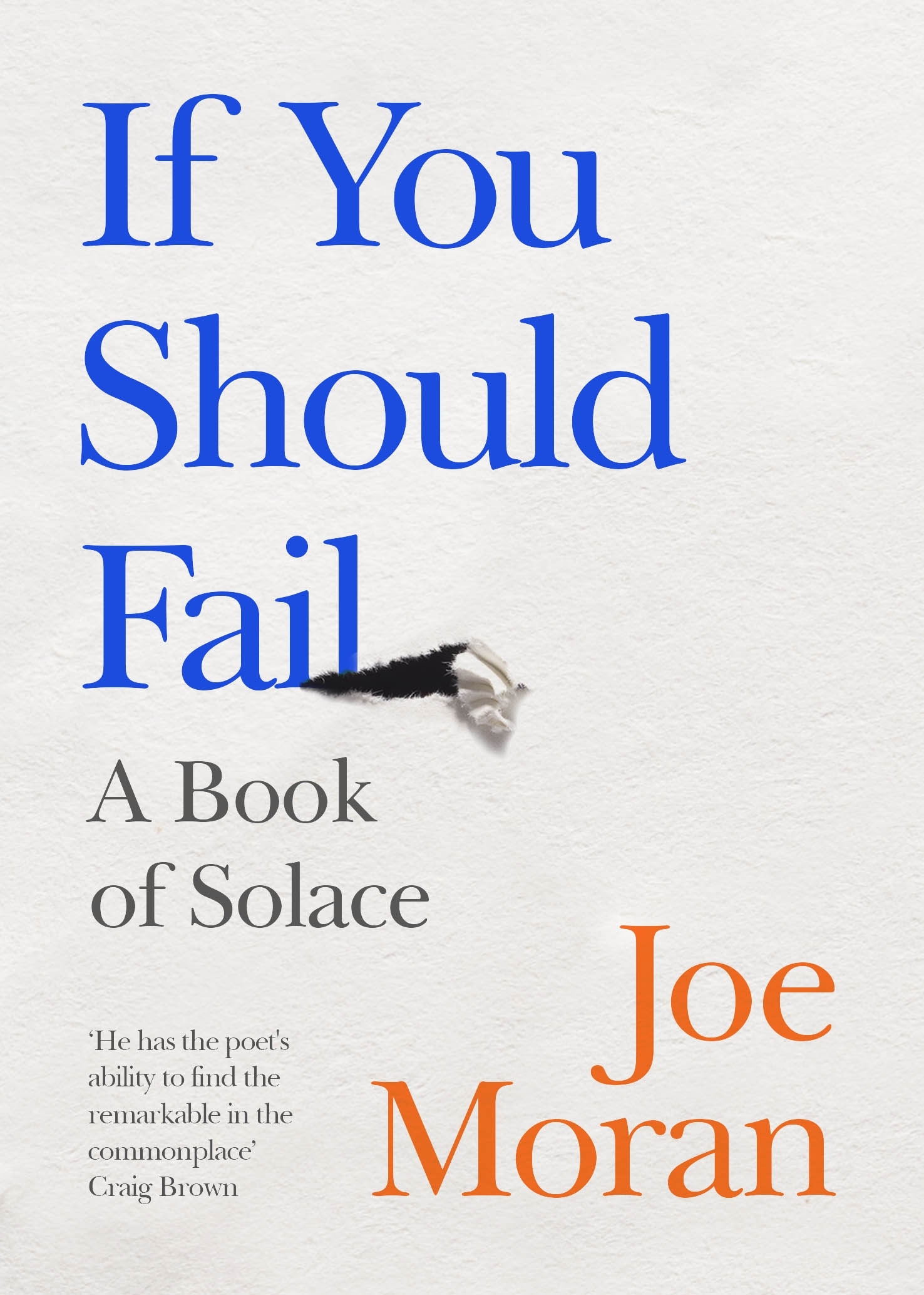 Book “If You Should Fail” by Joe Moran — September 24, 2020