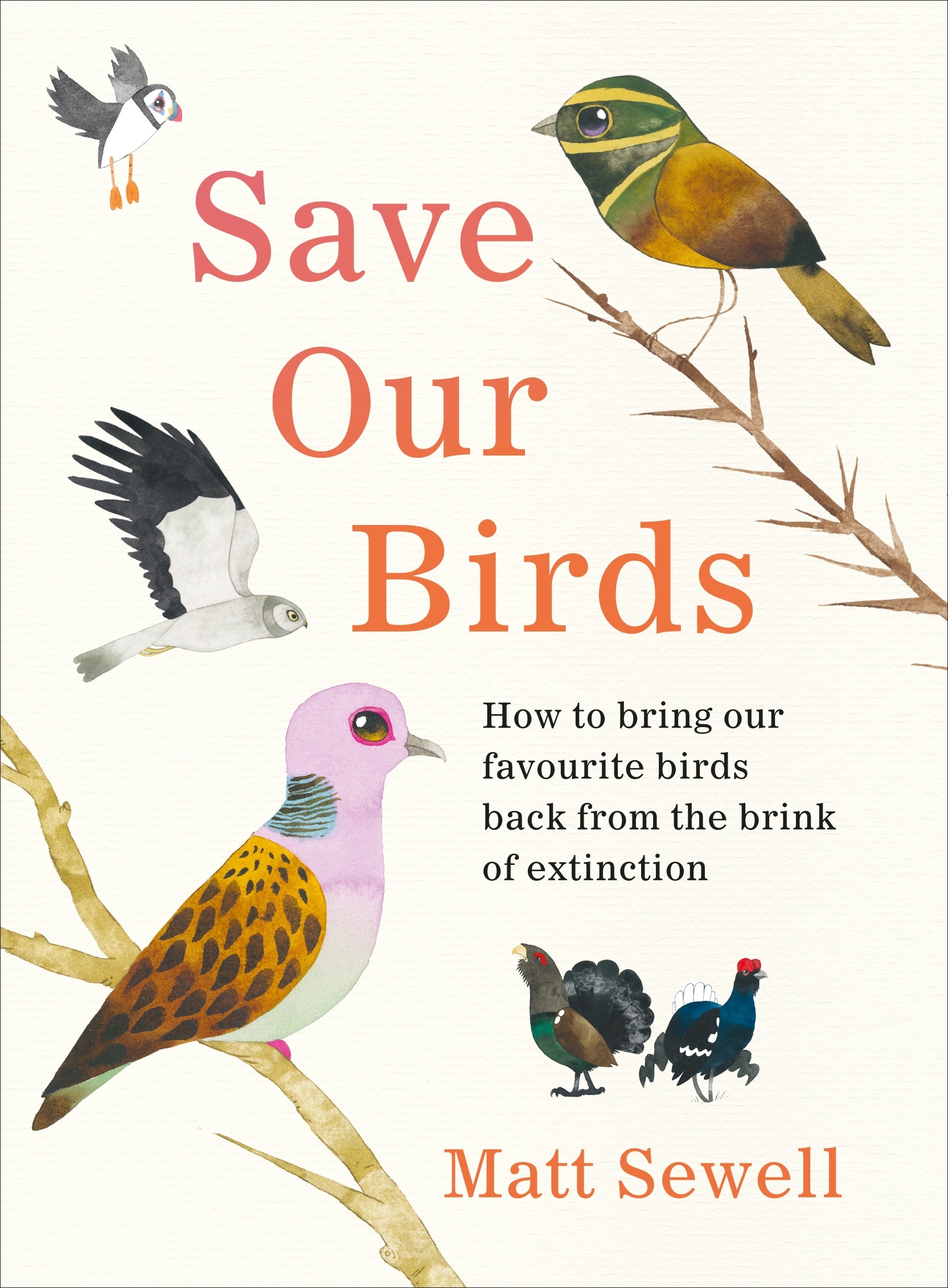Book “Save Our Birds” by Matt Sewell — June 24, 2021