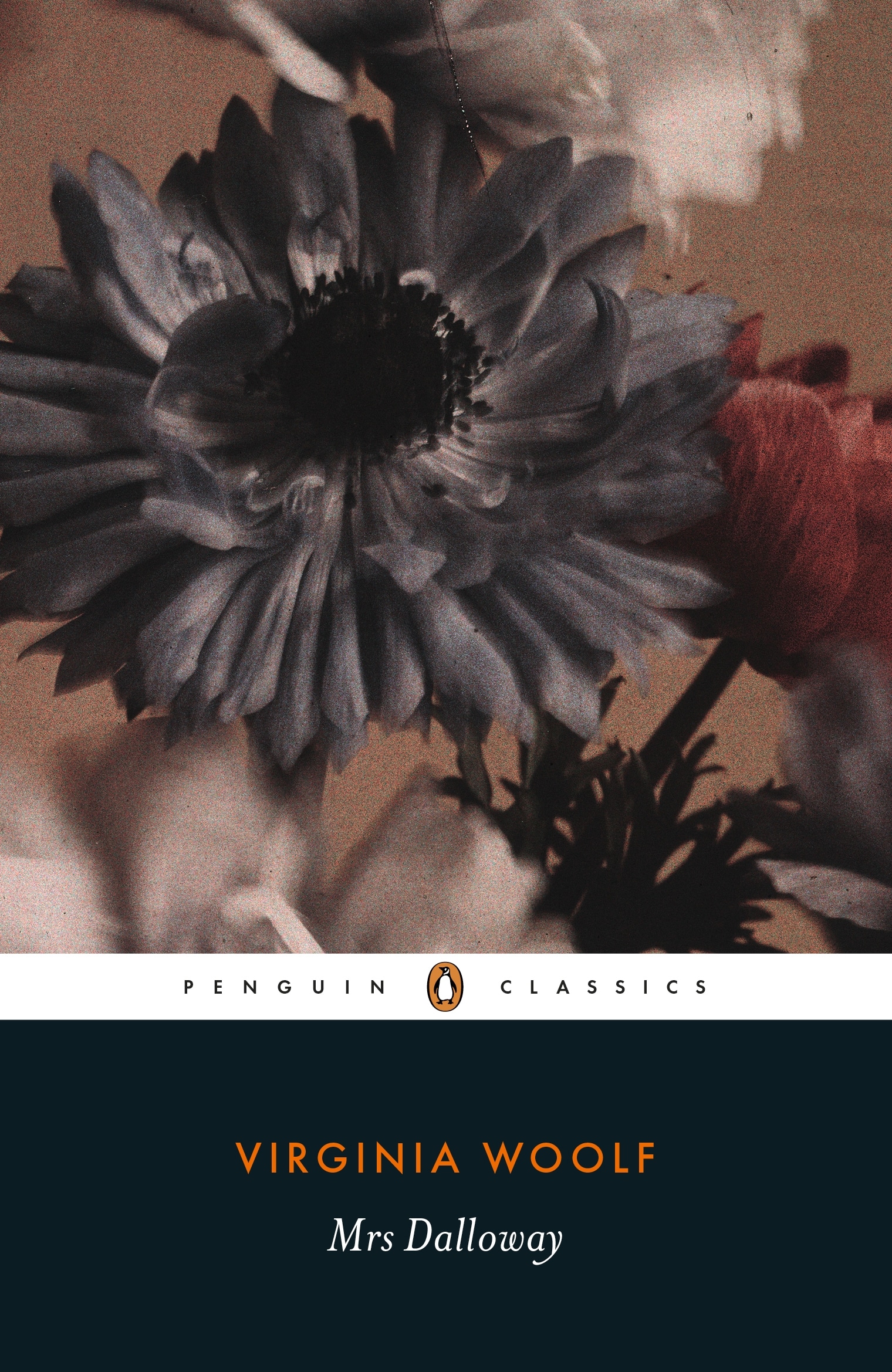 Book “Mrs Dalloway” by Virginia Woolf, Stella McNichol — April 4, 2019