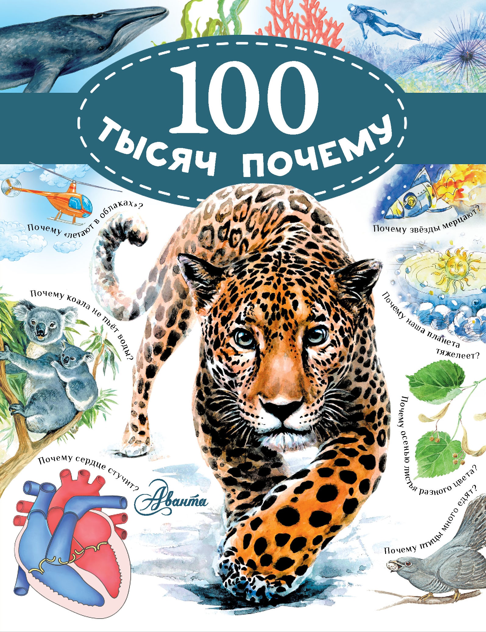 Почему обложка. Альтшулер в.с., Малов в.и. 