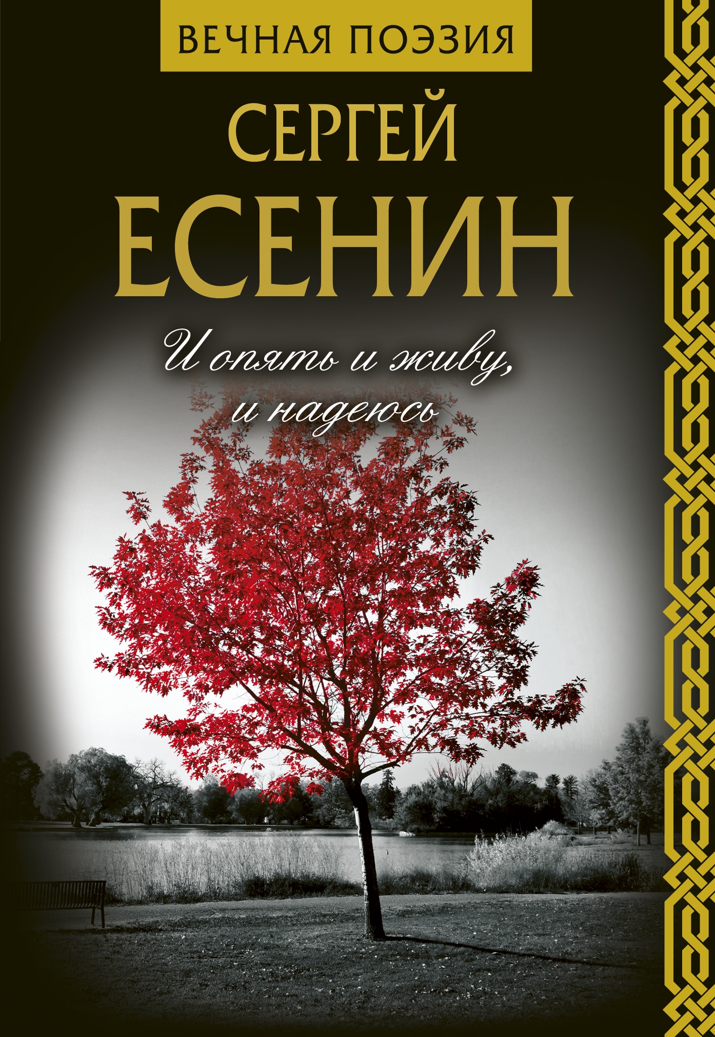 Книга «И опять и живу, и надеюсь» Есенин Сергей Александрович — 8 мая 2019 г.