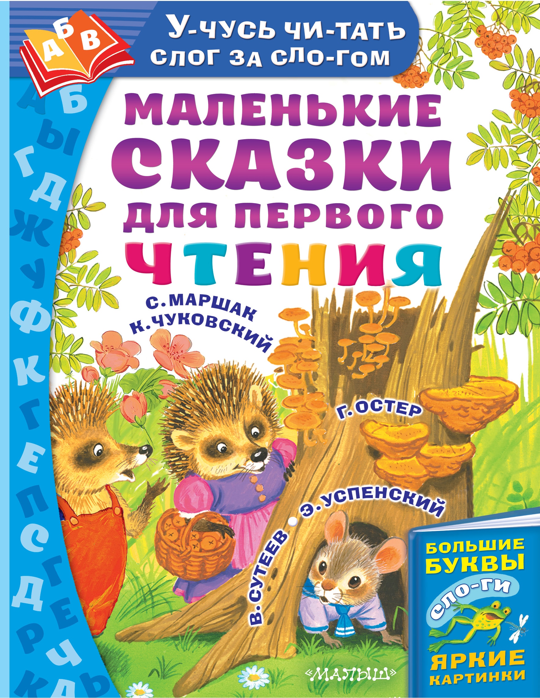 Маленькие сказки. Сказки маленьким детям. Для первого чтения. Книги для первого чтения.