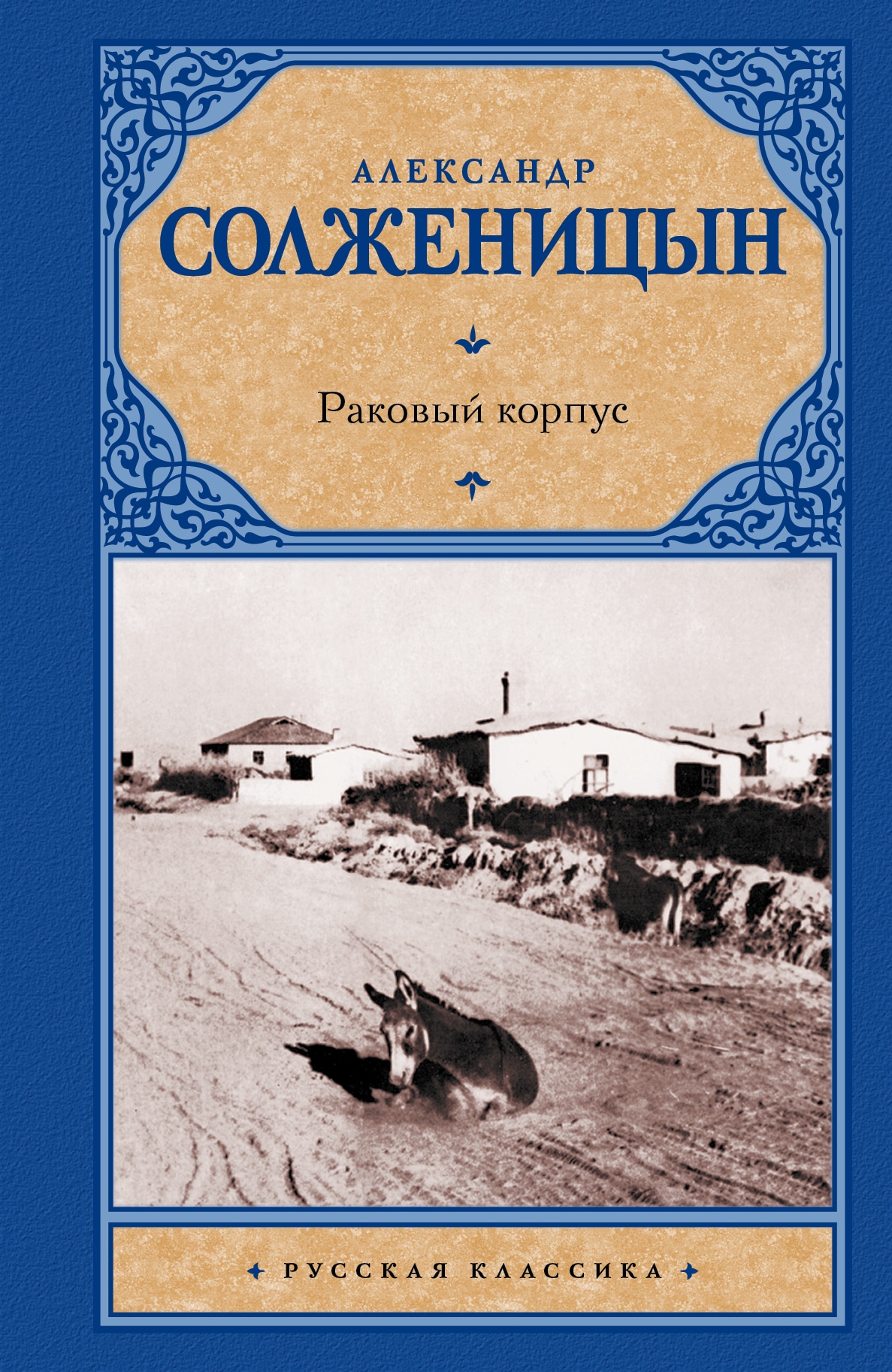 Book “Раковый корпус” by Солженицын Александр Исаевич — July 21, 2017