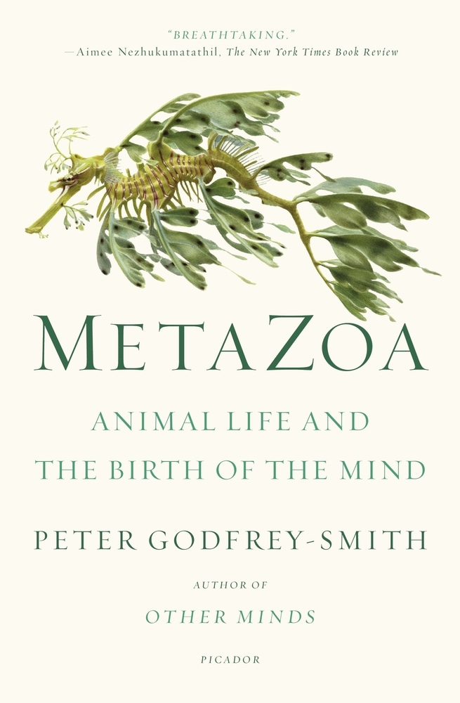 Book “Metazoa” by Peter Godfrey-Smith — October 26, 2021