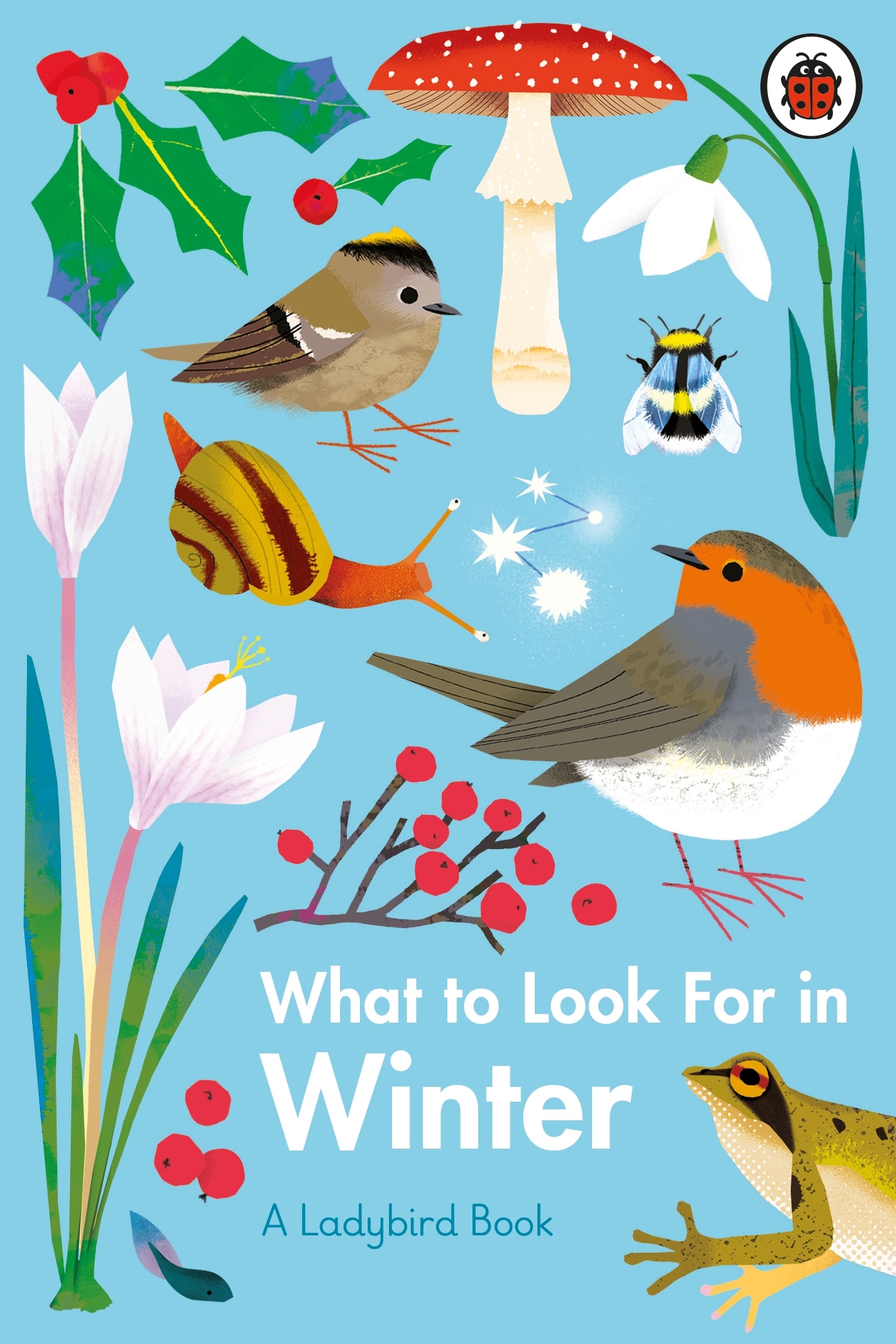 Book “What to Look For in Winter” by Elizabeth Jenner — January 21, 2021