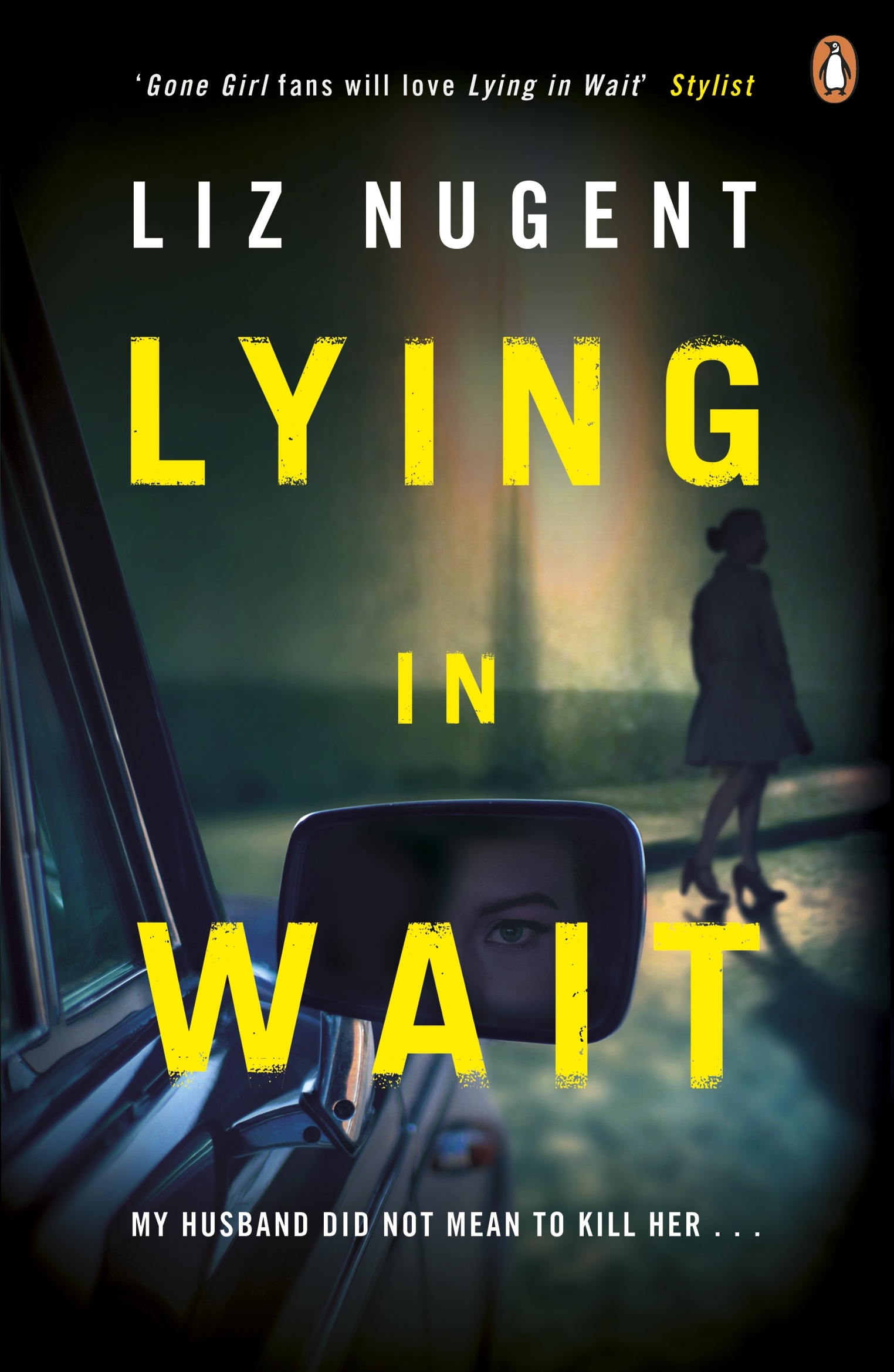 Book “Lying in Wait” by Liz Nugent — December 26, 2016