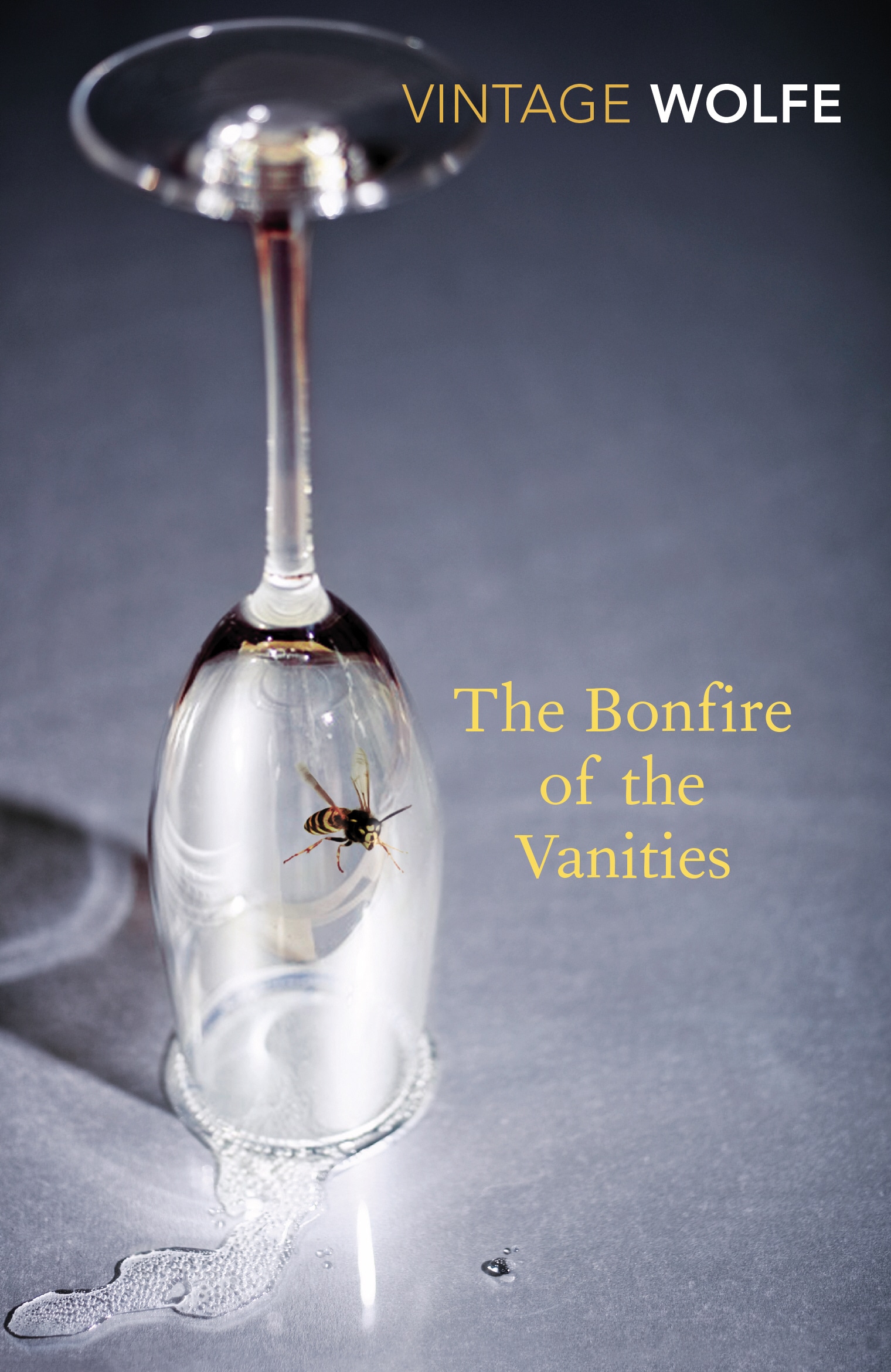 Book “The Bonfire of the Vanities” by Tom Wolfe — January 7, 2010