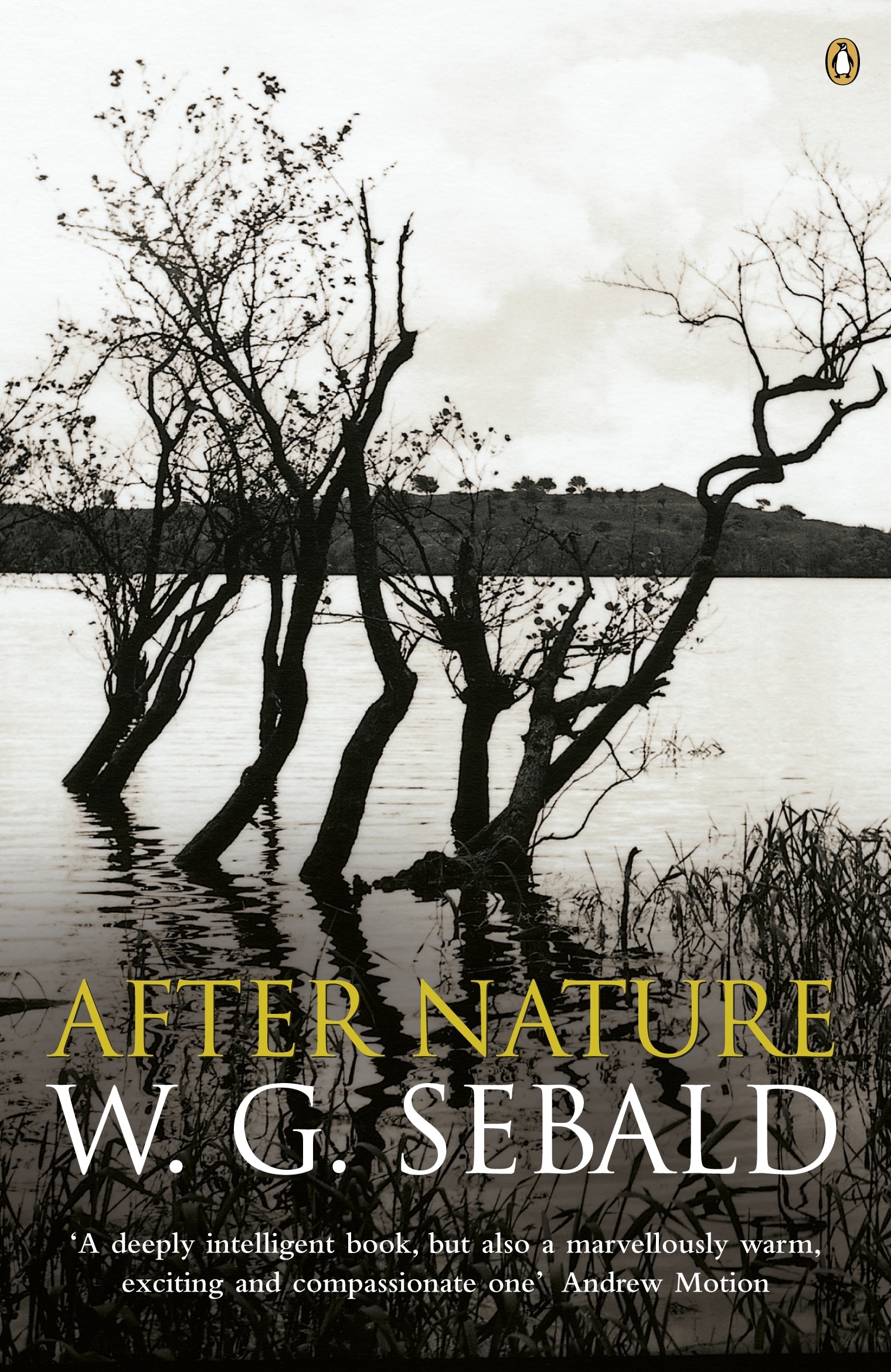 Book “After Nature” by W. G. Sebald — June 26, 2003