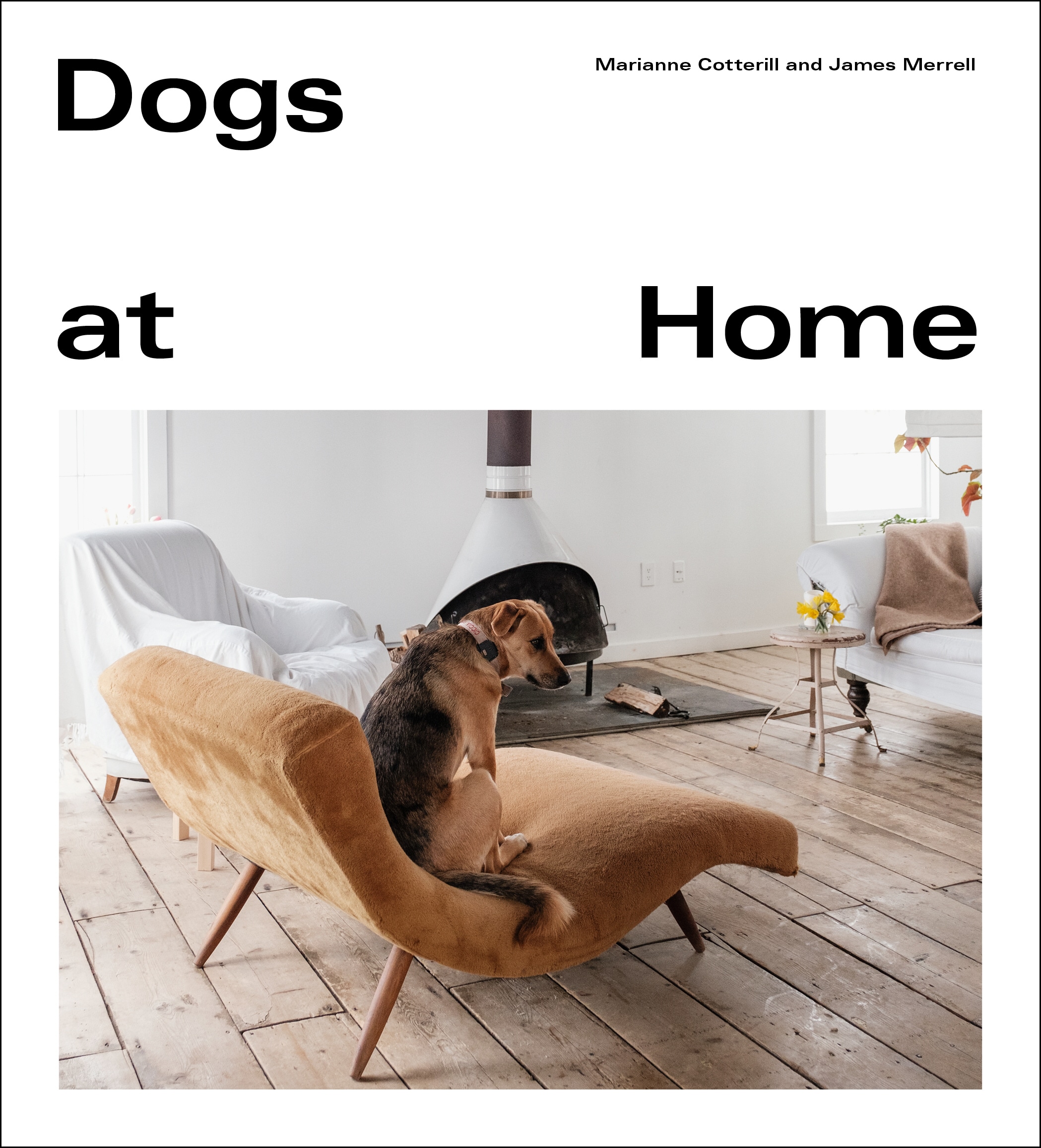 Book “Dogs at Home” by Marianne Cotterill, James Merrell — August 13, 2020