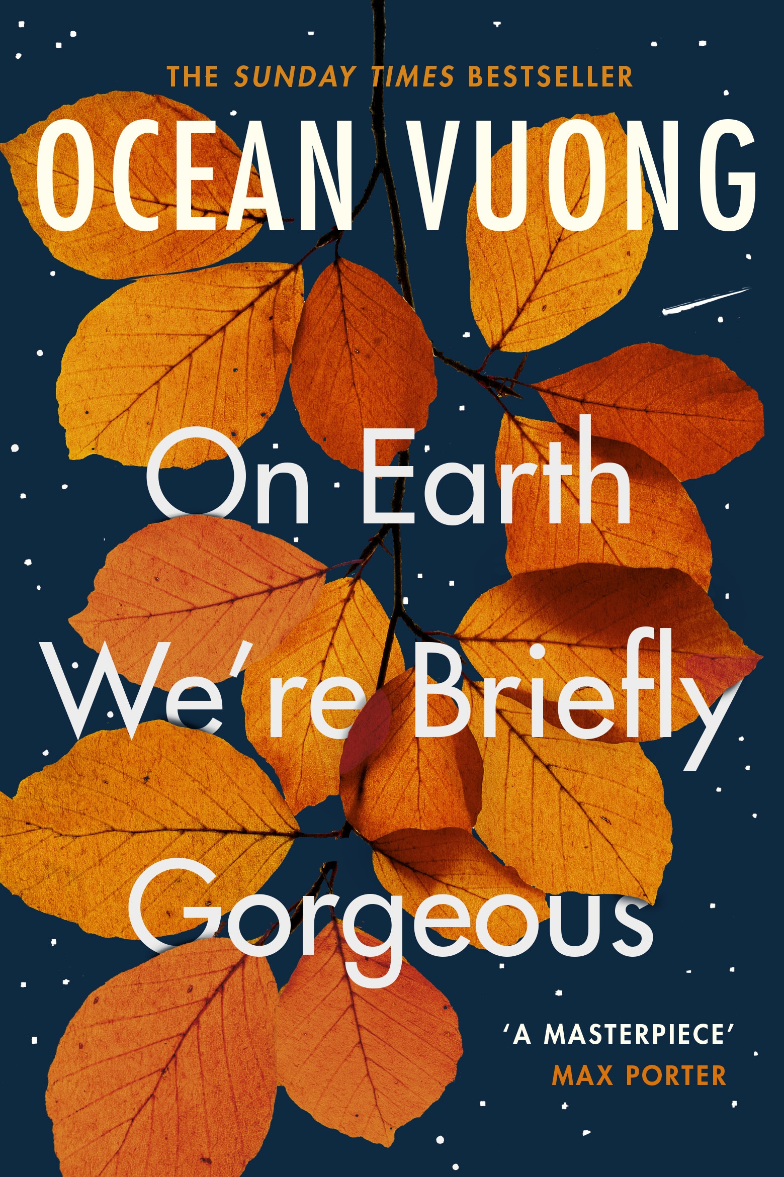 Book “On Earth We're Briefly Gorgeous” by Ocean Vuong — September 1, 2020