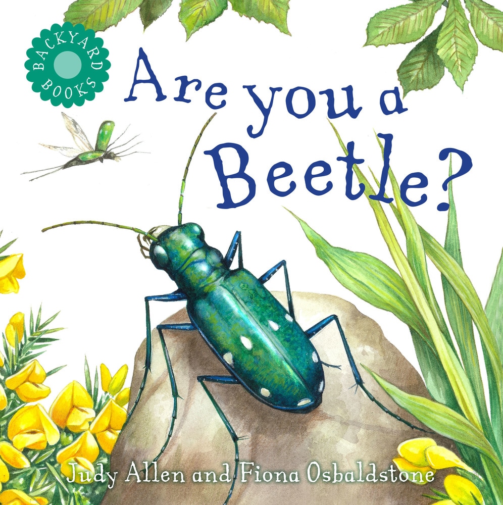 Book “Are You a Beetle?” by Judy Allen — May 14, 2019