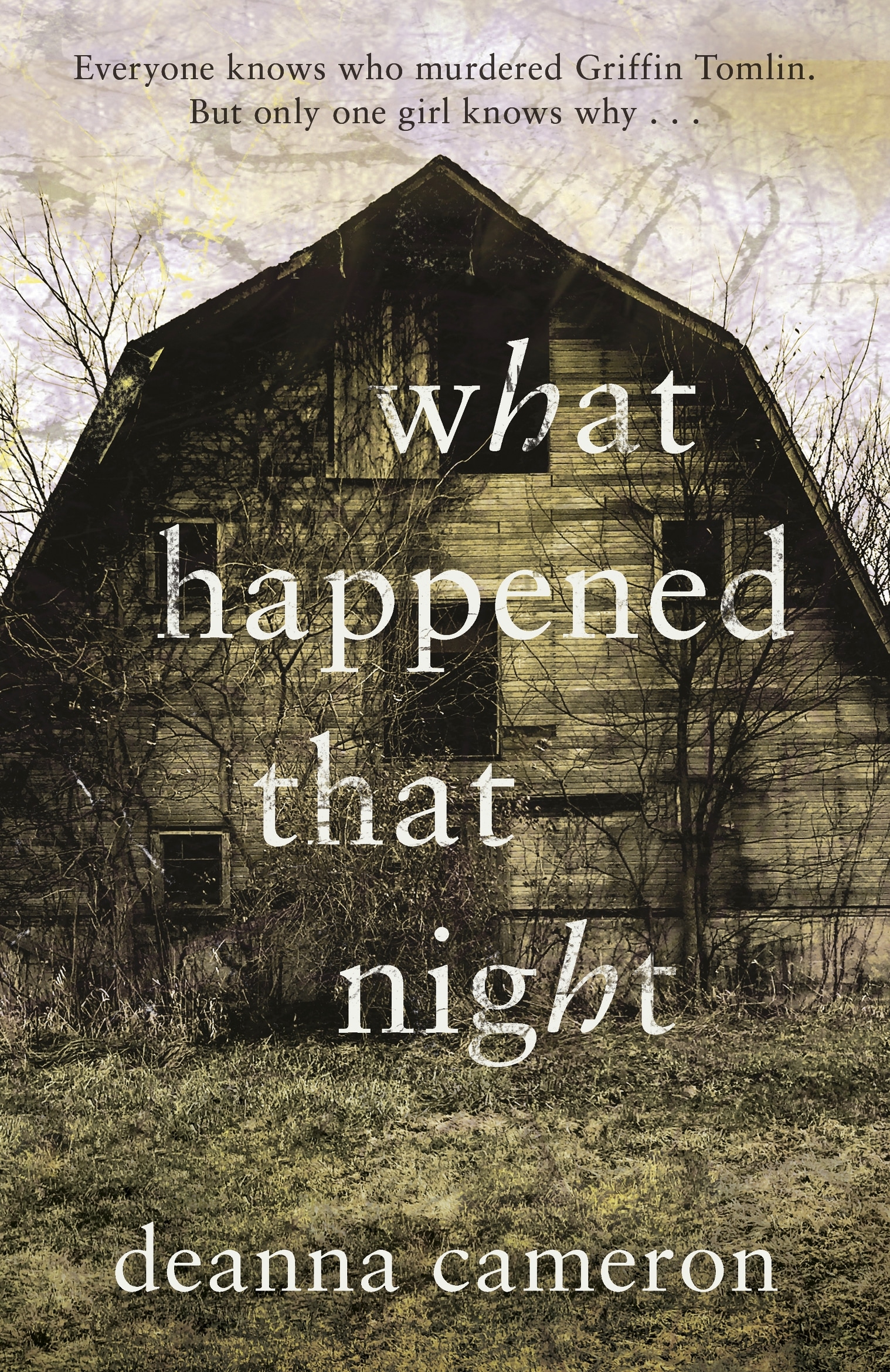 Book “What Happened That Night” by Deanna Cameron — September 19, 2019