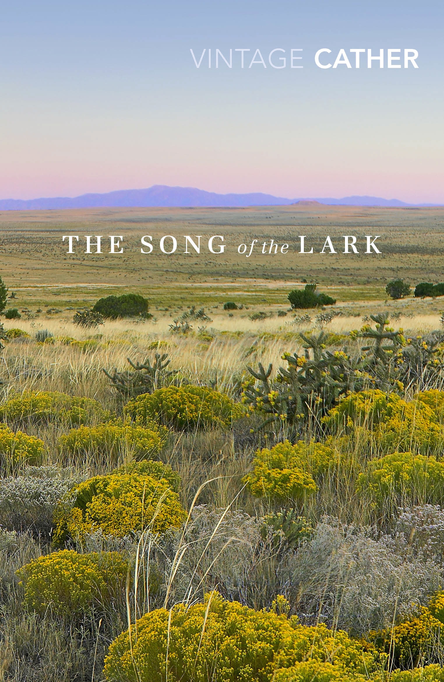 Book “The Song of the Lark” by Willa Cather, Penelope Lively — September 5, 2019
