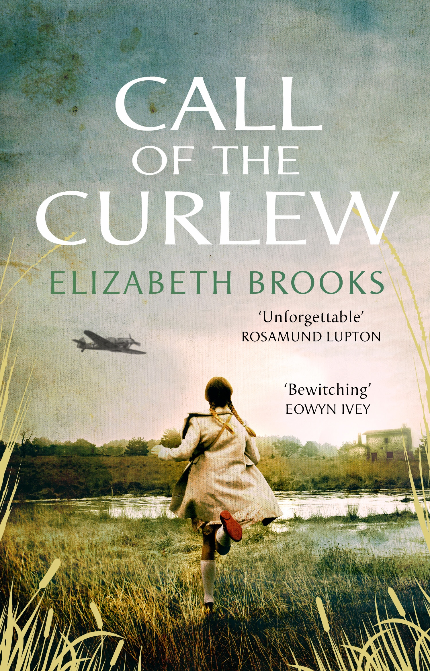 Book “Call of the Curlew” by Elizabeth Brooks — May 2, 2019