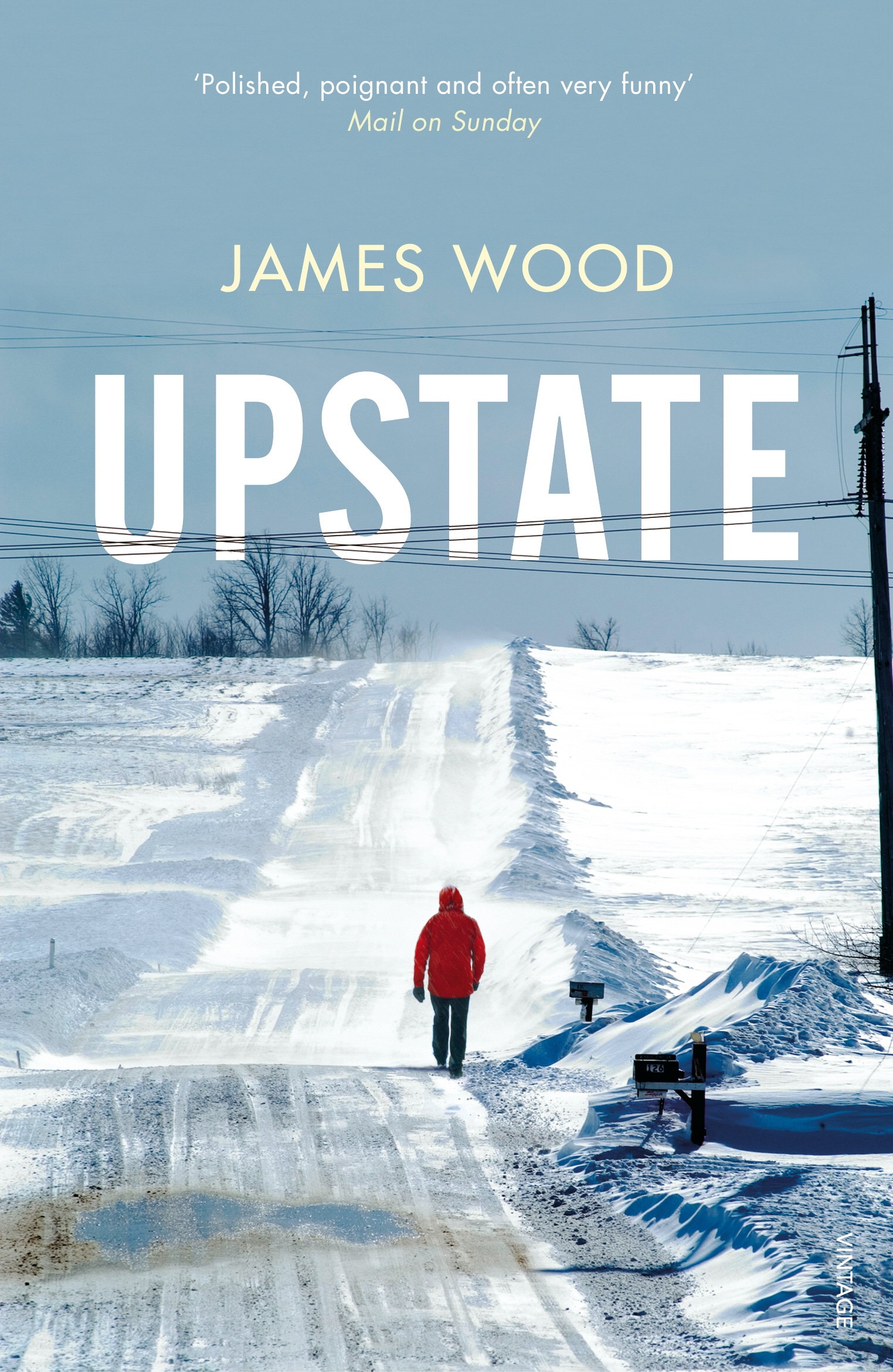Book “Upstate” by James Wood — March 7, 2019