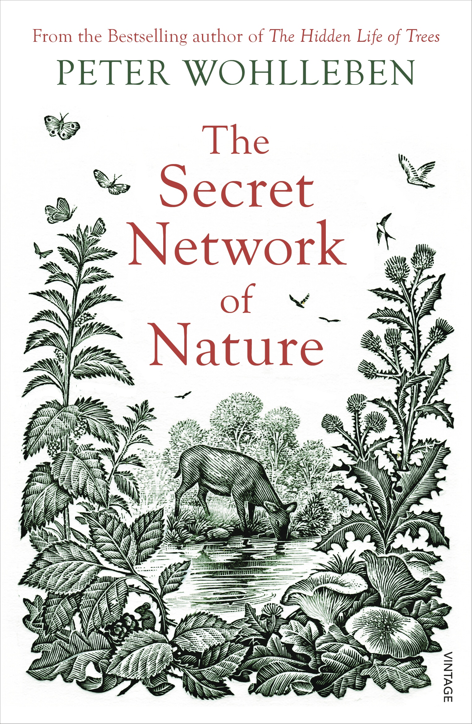 Book “The Secret Network of Nature” by Peter Wohlleben — September 5, 2019