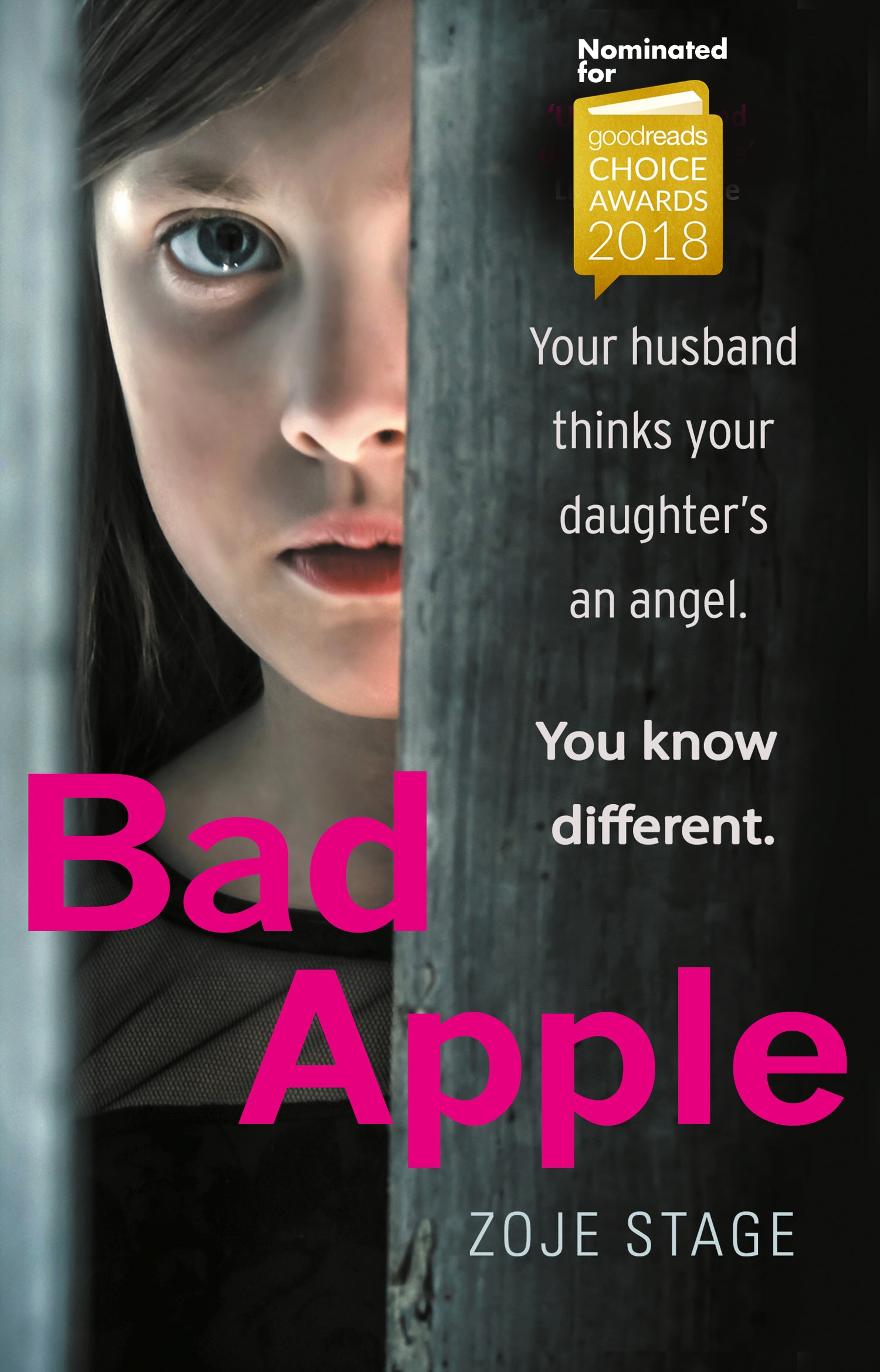 Book “Bad Apple” by Zoje Stage — January 24, 2019
