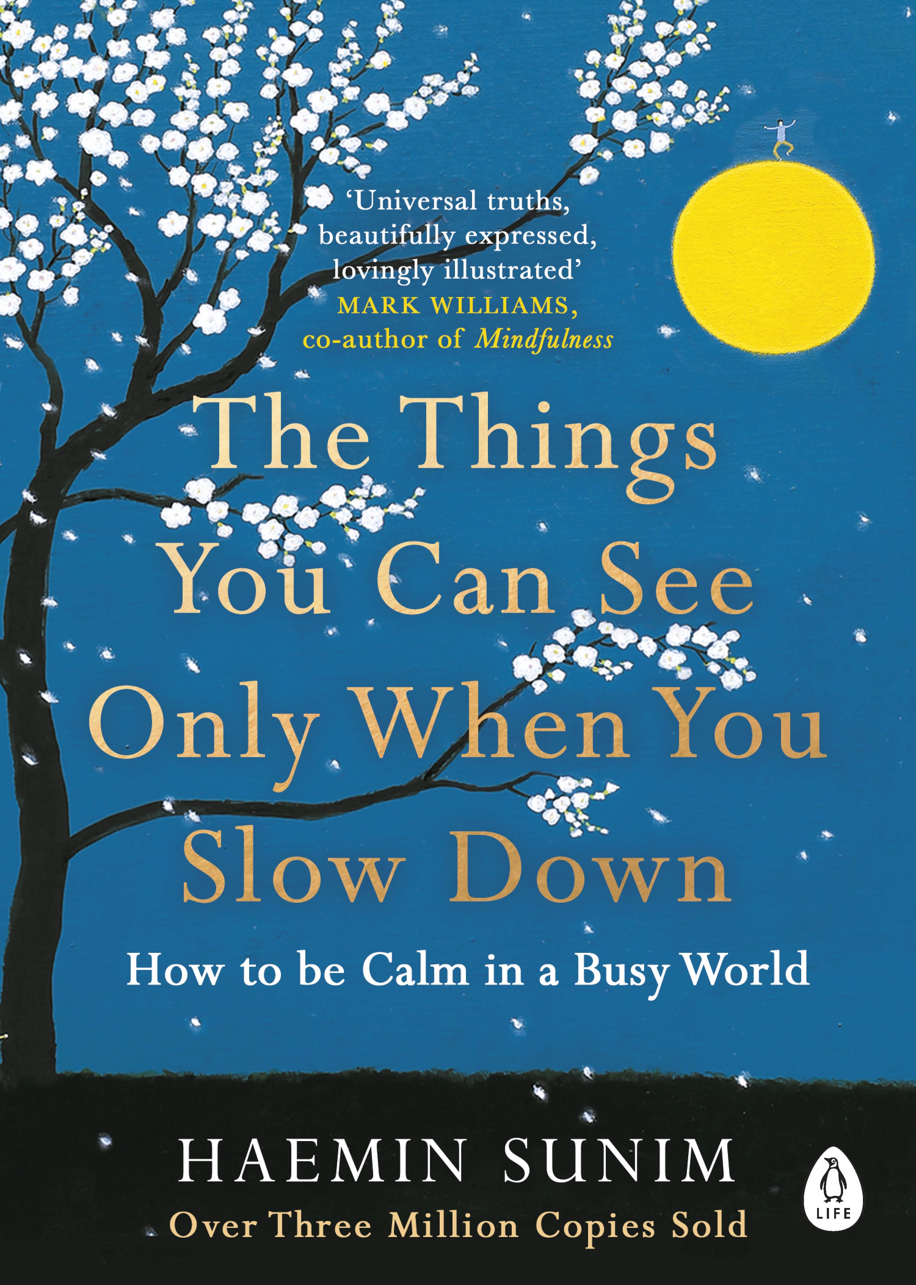 Book “The Things You Can See Only When You Slow Down” by Haemin Sunim