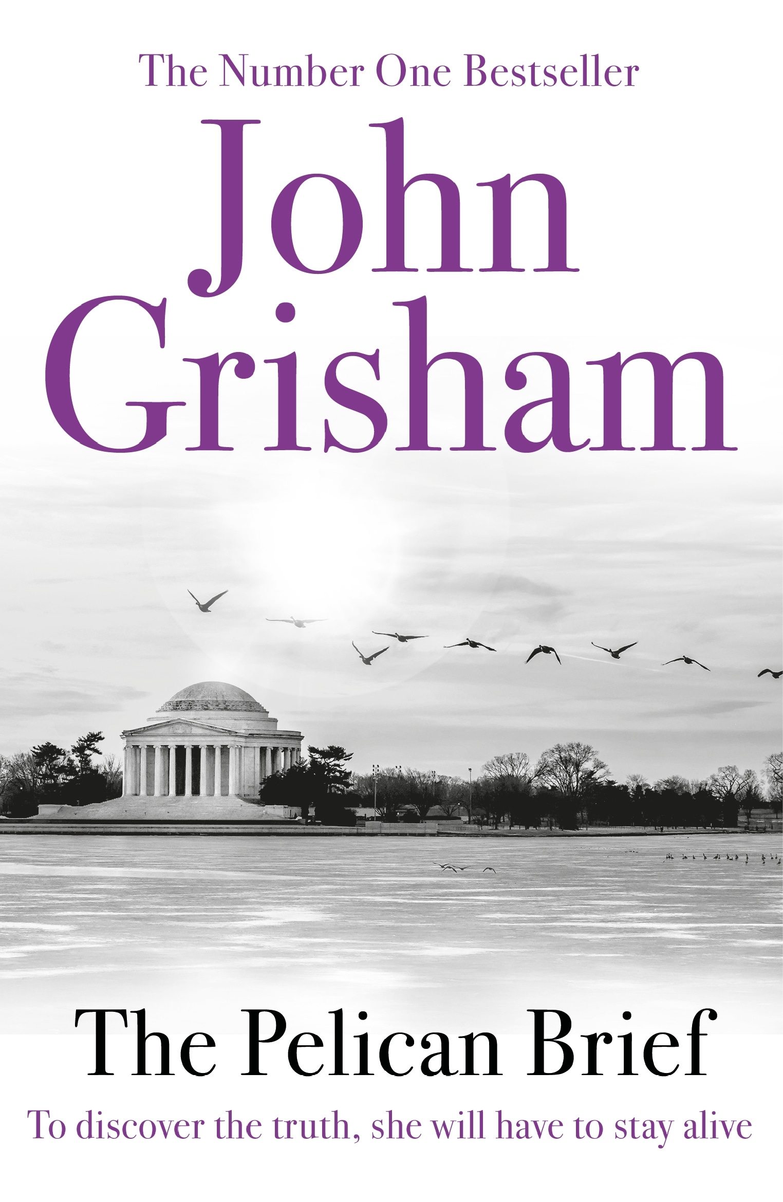 Book “The Pelican Brief” by John Grisham — October 28, 2010