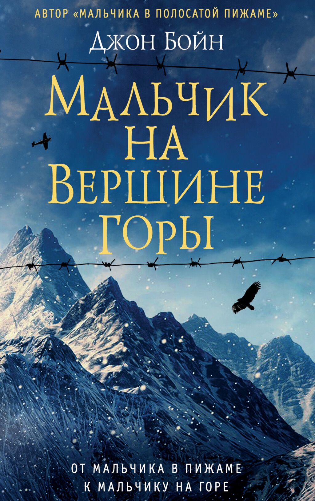 Book “Мальчик на вершине горы” by Джон Бойн — 2016