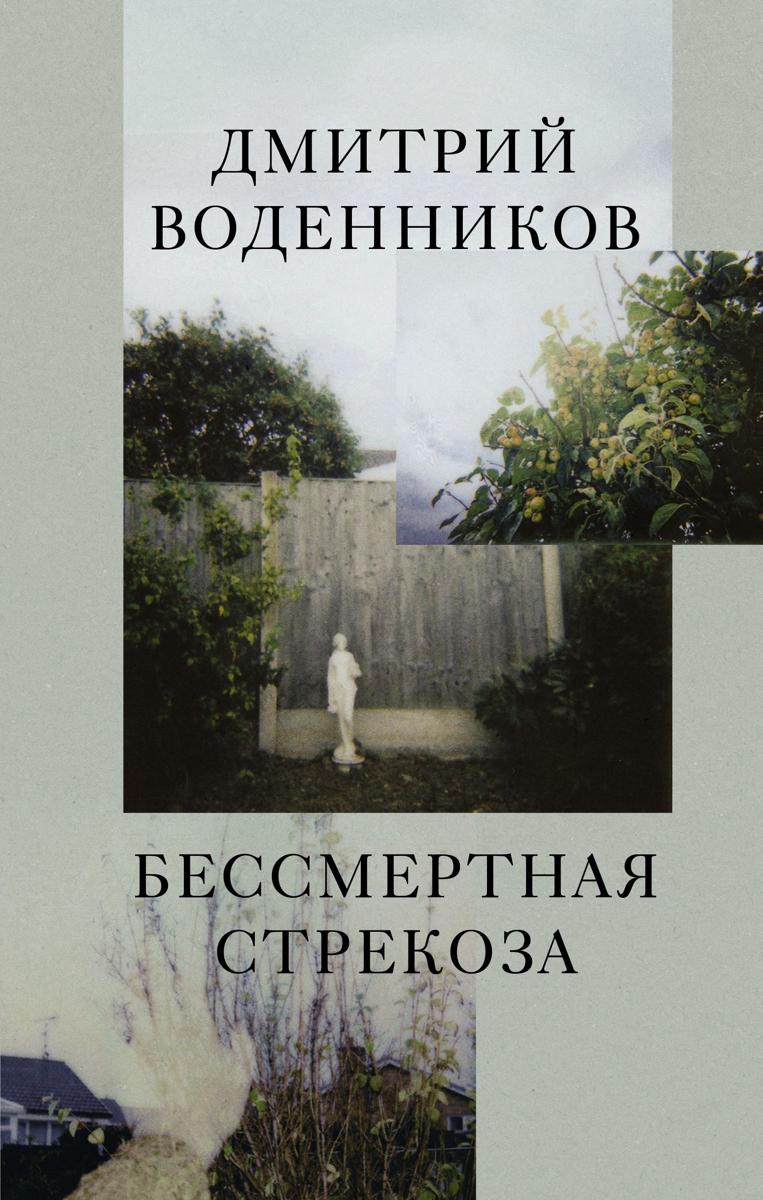 Книга «Бессмертная стрекоза» Воденников Дмитрий Борисович — 2022 г.