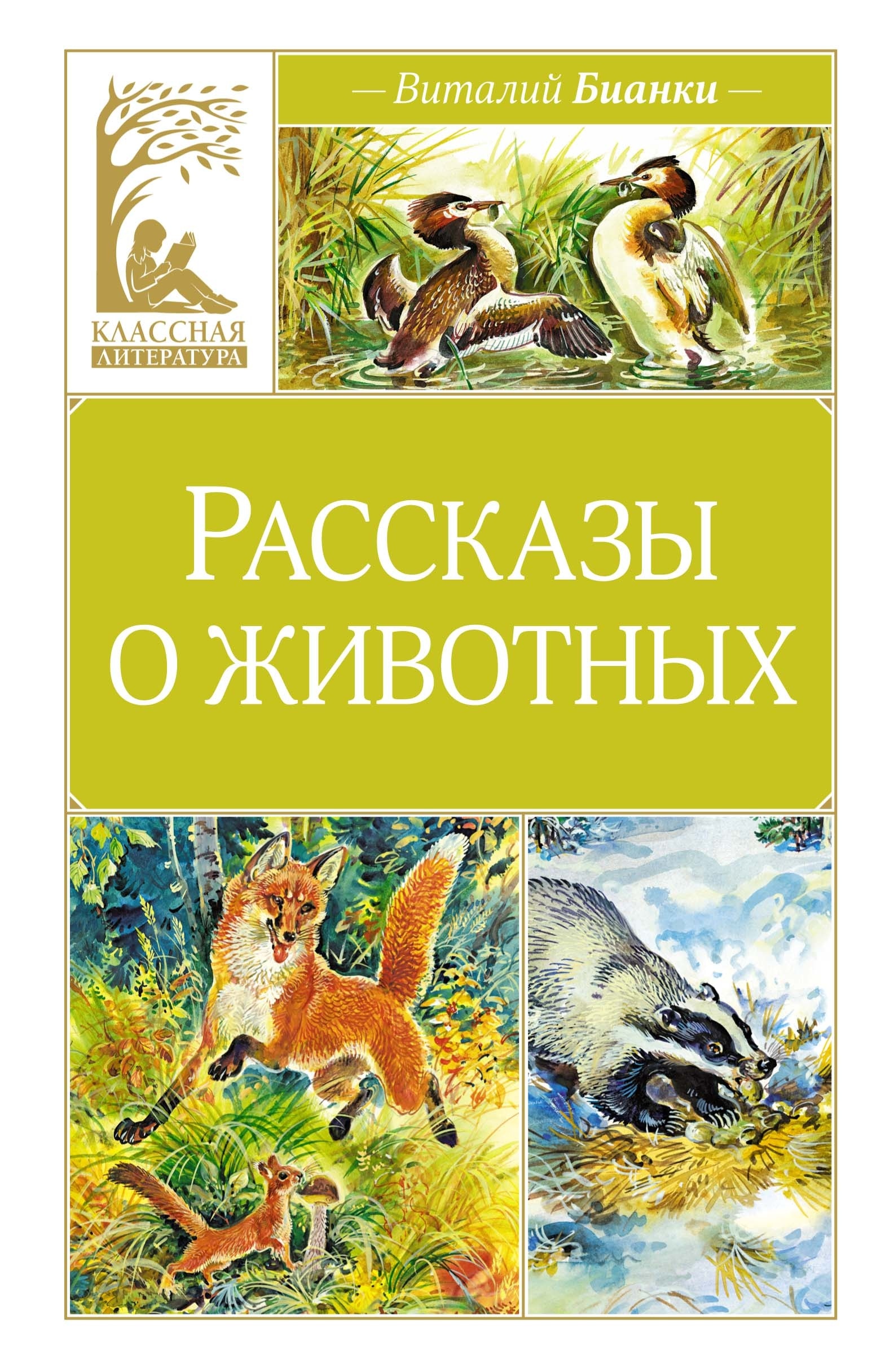 Книга «Рассказы о животных» Виталий Бианки — 2024 г.