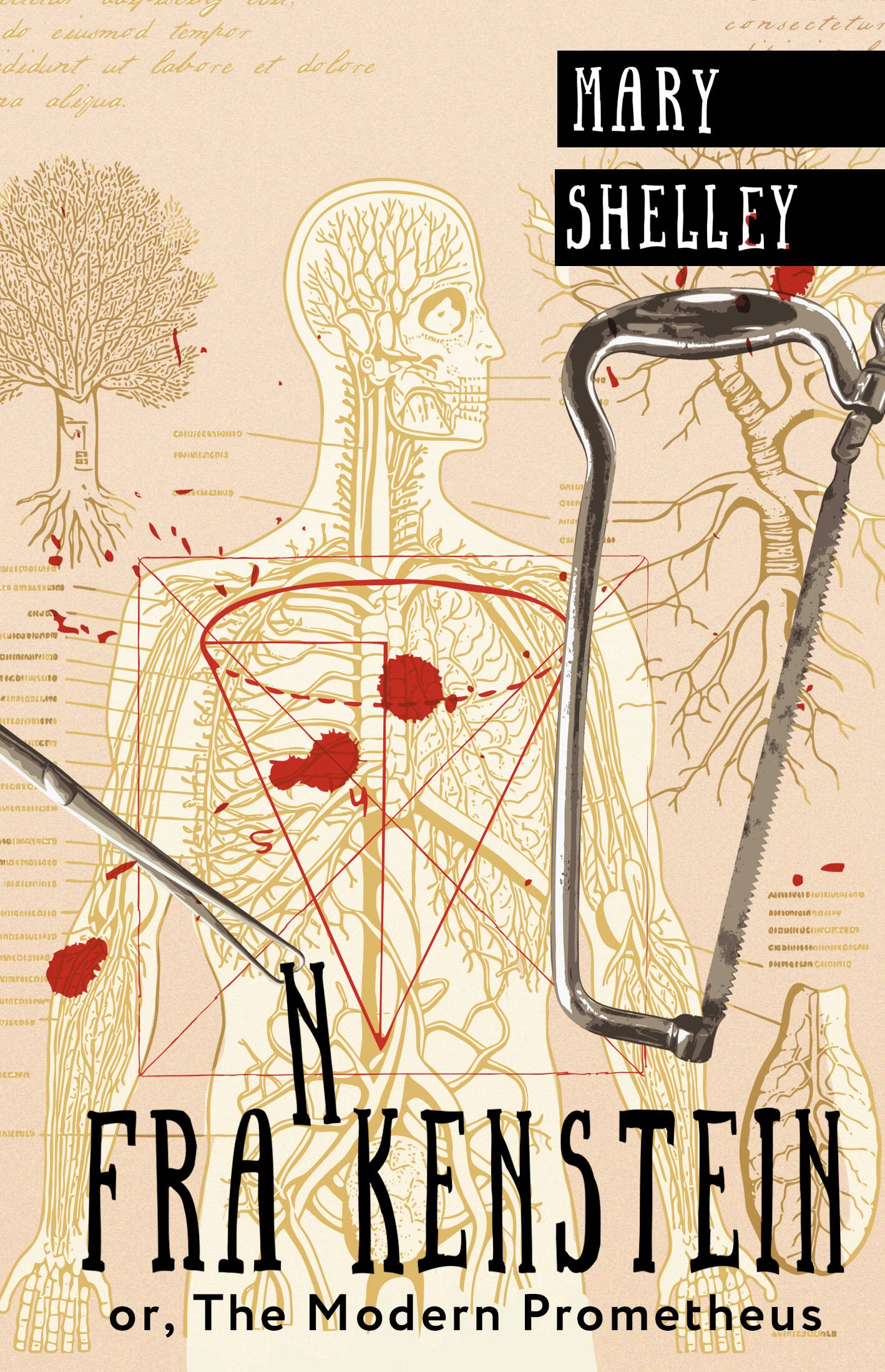 Book “Frankenstein; or, The Modern Prometheus” by Мэри Шелли — 2023