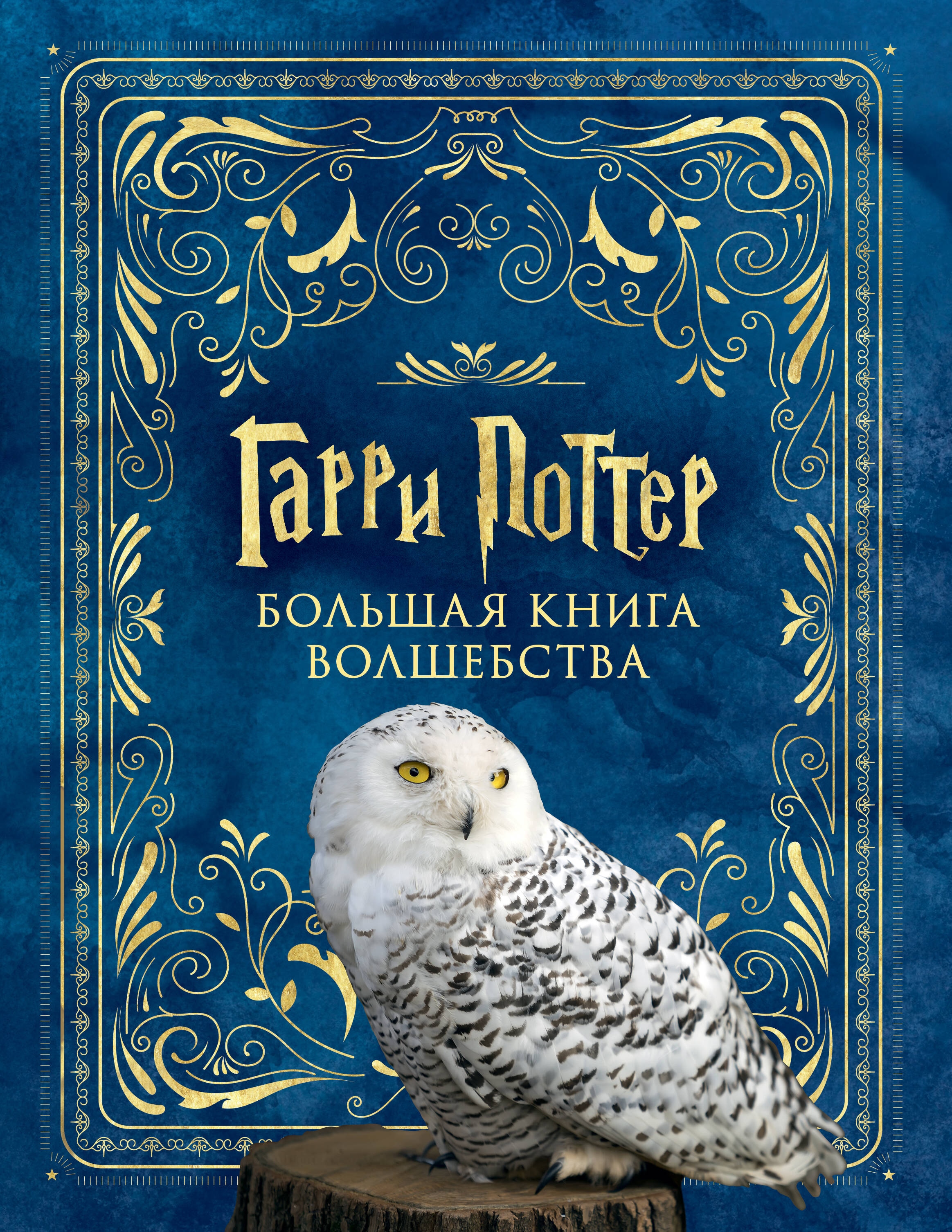 Книга «Гарри Поттер: Большая книга волшебства» — 2024 г.
